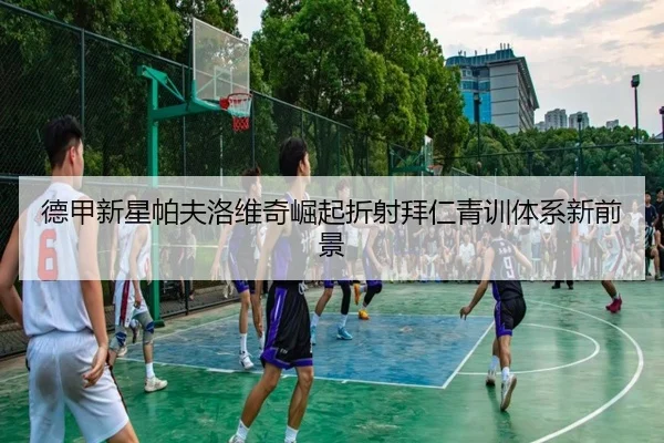 德甲新星帕夫洛维奇崛起折射拜仁青训体系新前景
